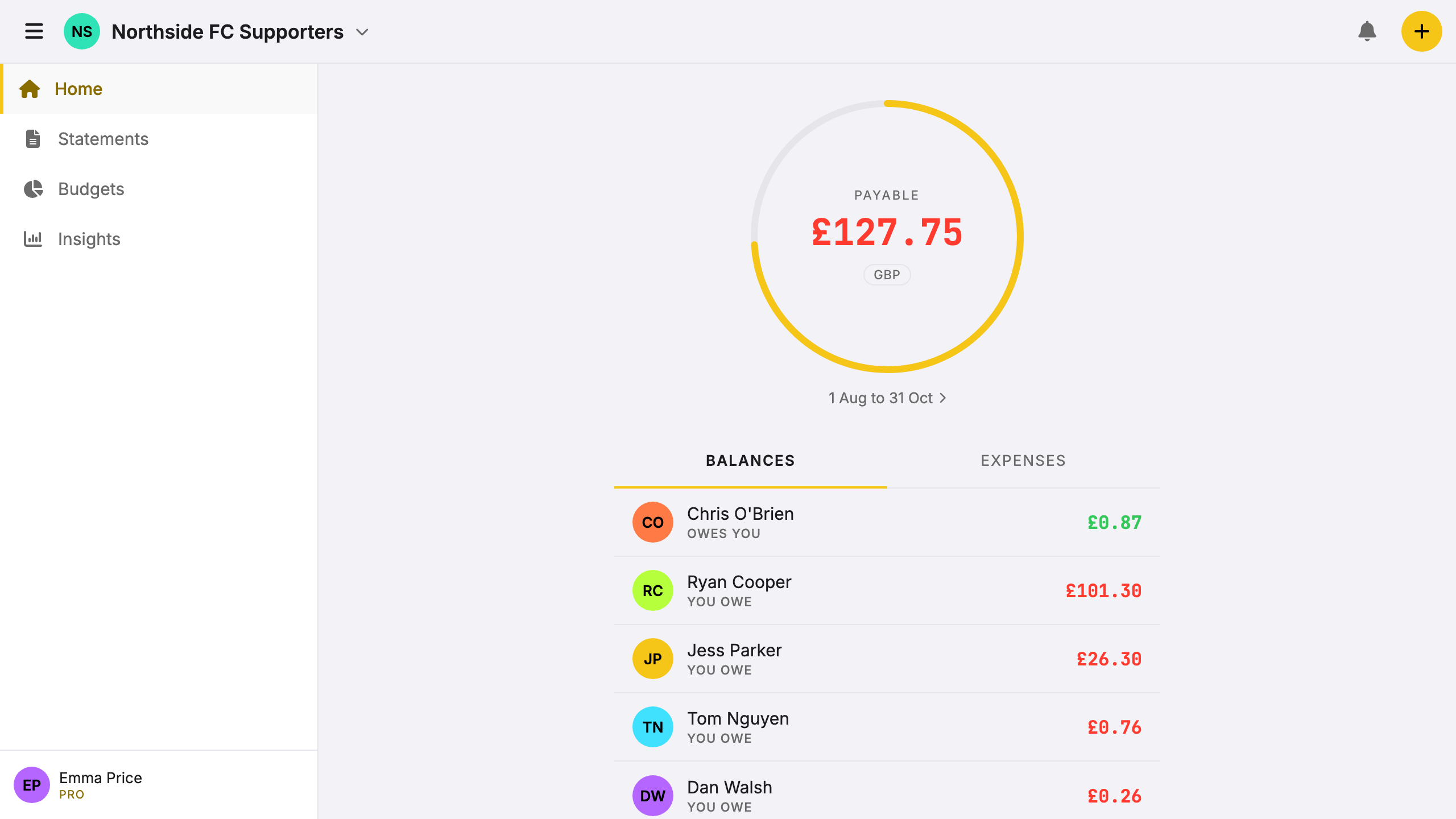 Screenshot: club circle with season ticket splits, streaming costs, and shared kitty balance.