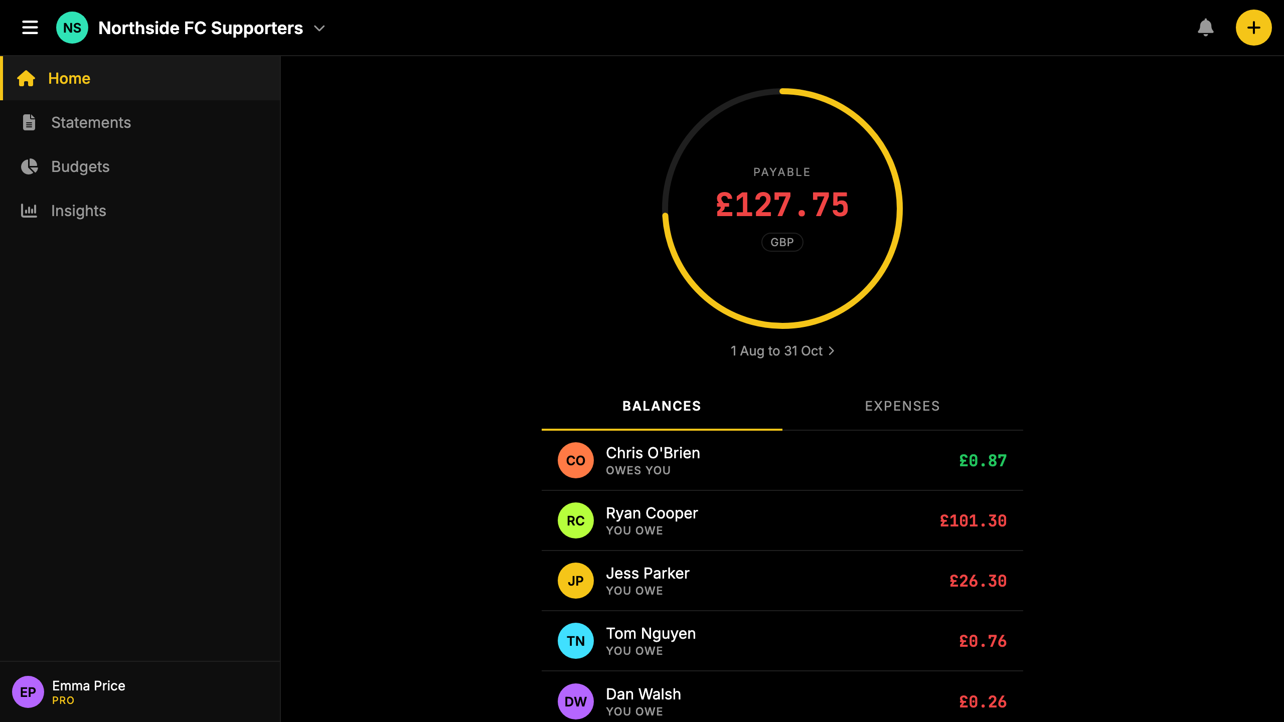 Screenshot: club circle with season ticket splits, streaming costs, and shared kitty balance.